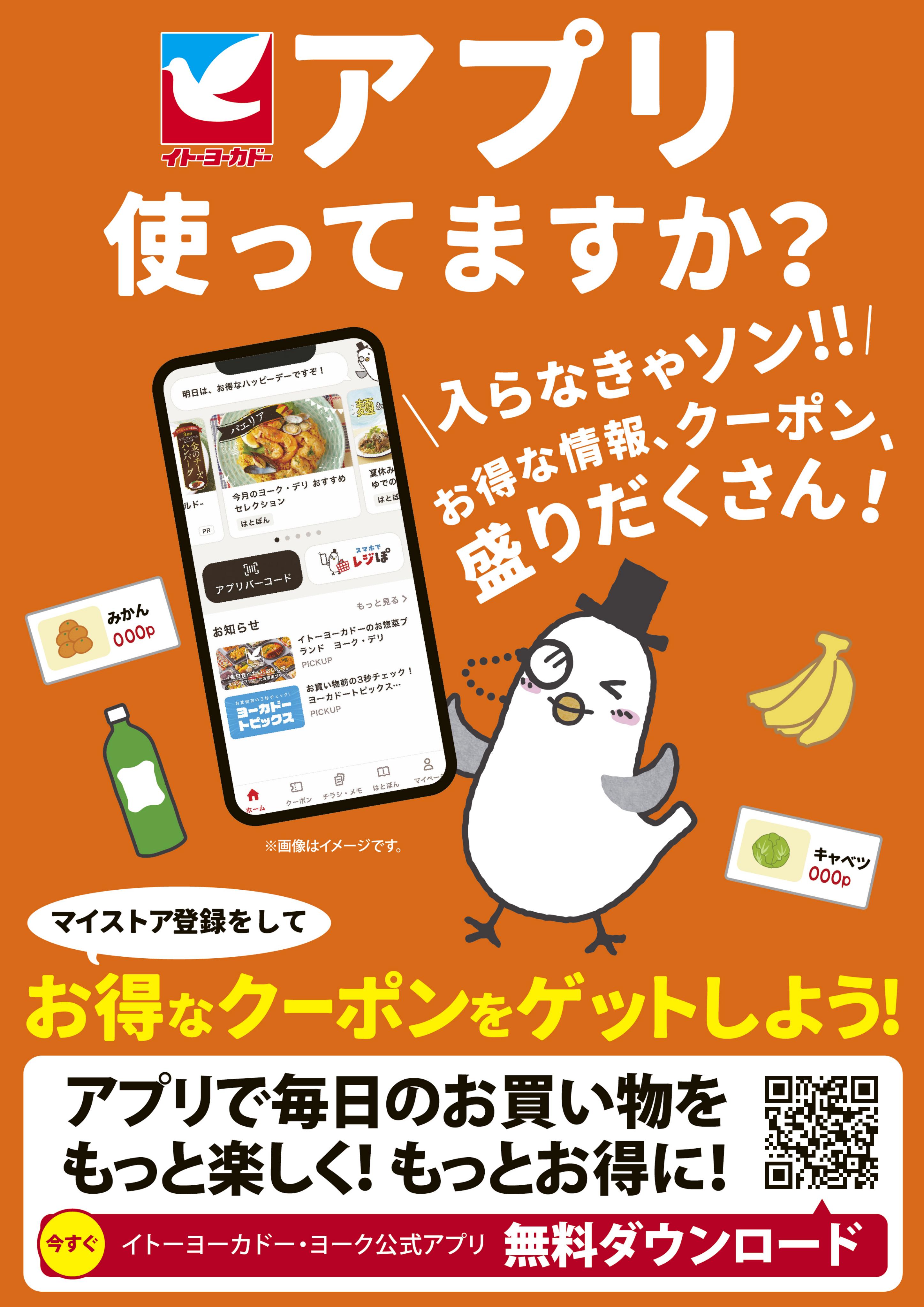 イトーヨーカドー アリオ鳳店 8/1(土)〜8/31(月)　見逃し注意！！8月お買得Day/イトーヨーカドーアプリ使ってますか？のチラシ 2/2ページ